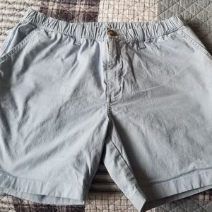 Chubbies 7 inch Short